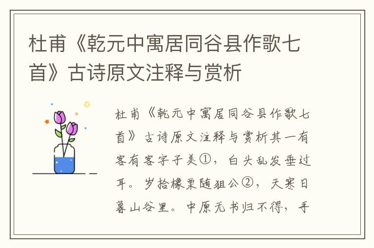 杜甫《乾元中寓居同谷县作歌七首》古诗原文注释与赏析