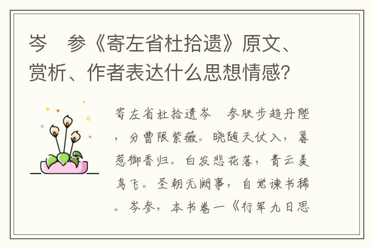 岑　参《寄左省杜拾遗》原文、赏析、作者表达什么思想情感？