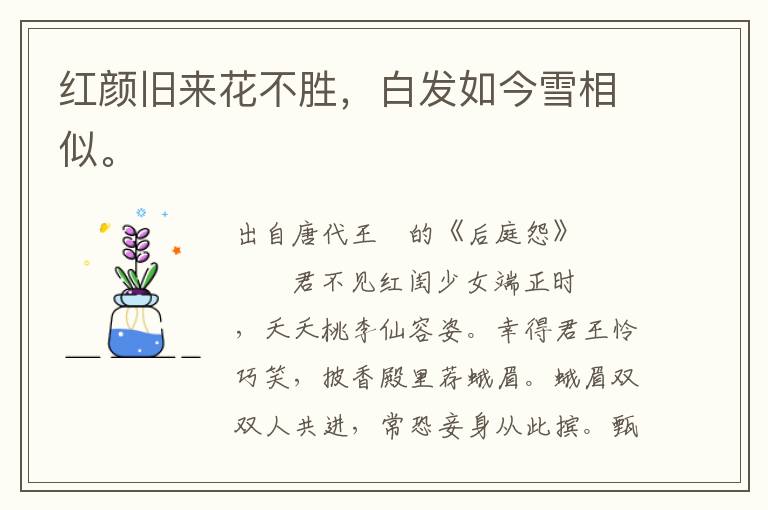 红颜旧来花不胜，白发如今雪相似。