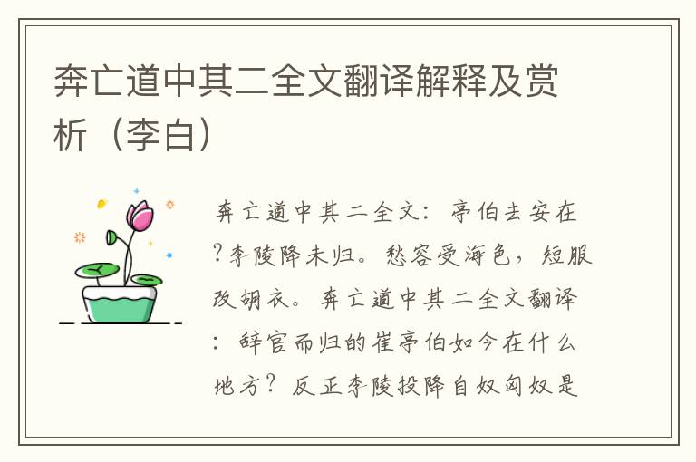 奔亡道中其二全文翻译解释及赏析（李白）