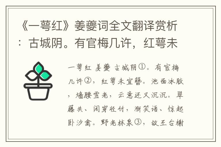 《一萼红》姜夔词全文翻译赏析：古城阴。有官梅几许，红萼未宜簪