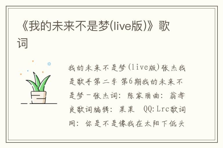 《我的未来不是梦(live版)》歌词