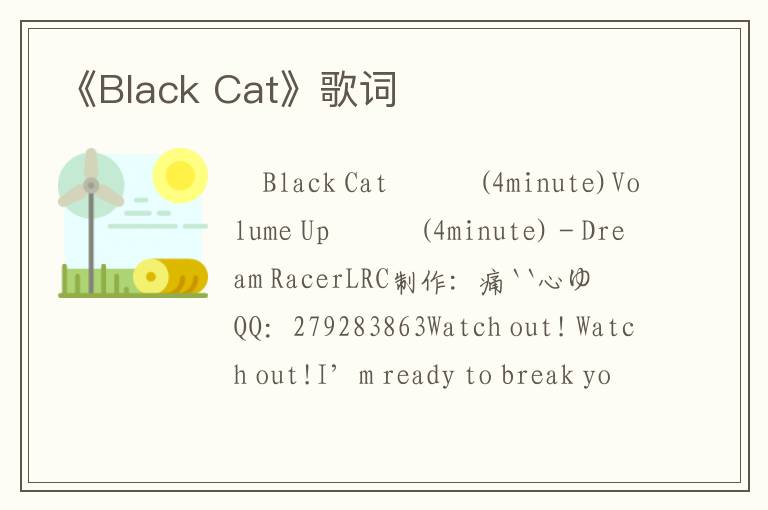 《Black Cat》歌词