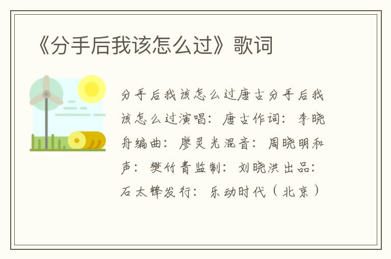 《分手后我该怎么过》歌词