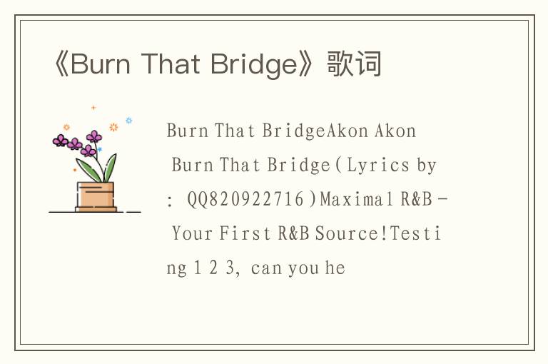 《Burn That Bridge》歌词