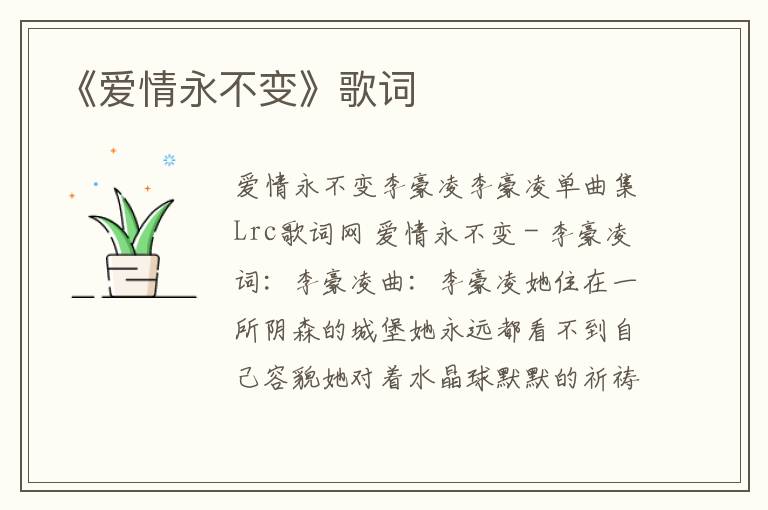 《爱情永不变》歌词