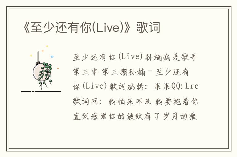 《至少还有你(Live)》歌词