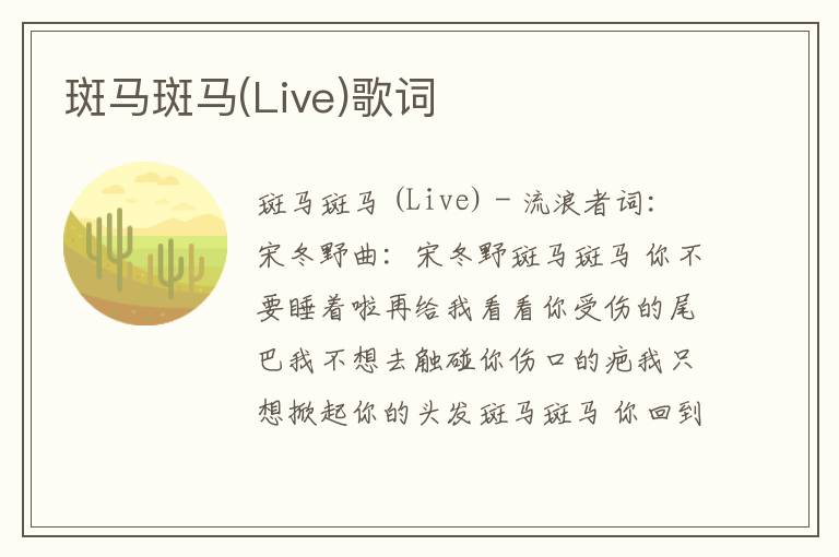 斑马斑马(Live)歌词