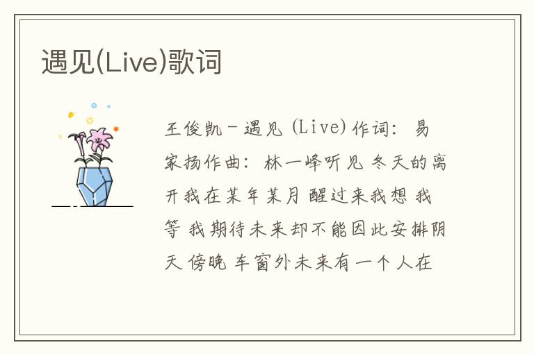 遇见(Live)歌词