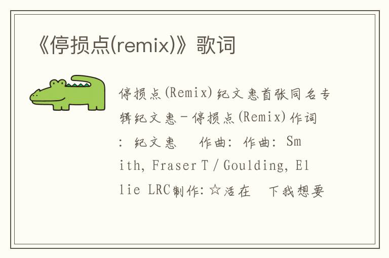 《停损点(remix)》歌词