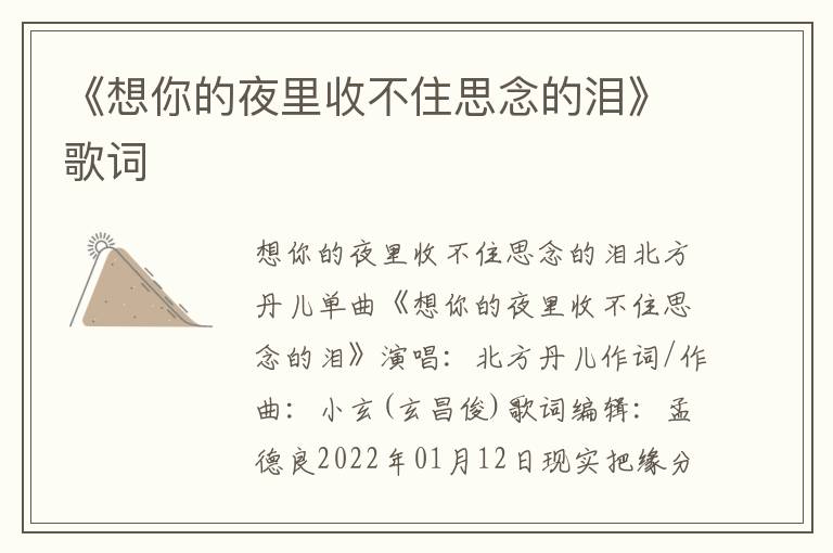 《想你的夜里收不住思念的泪》歌词