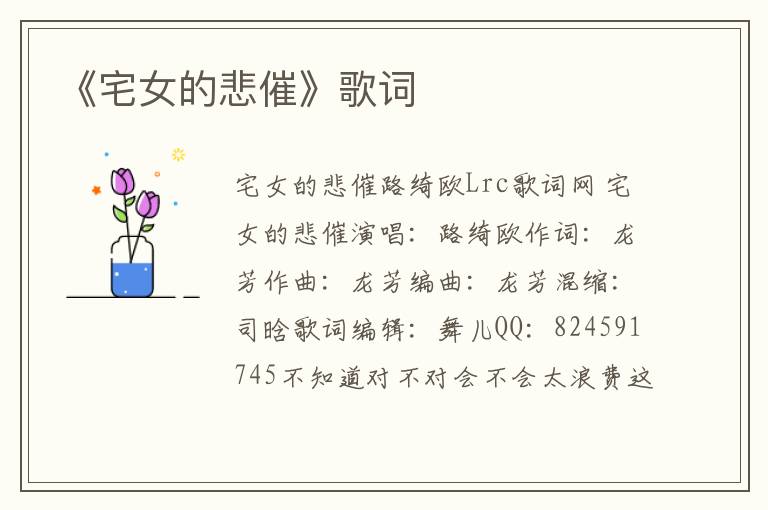 《宅女的悲催》歌词