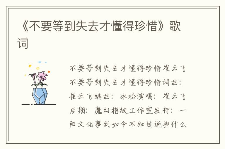 《不要等到失去才懂得珍惜》歌词