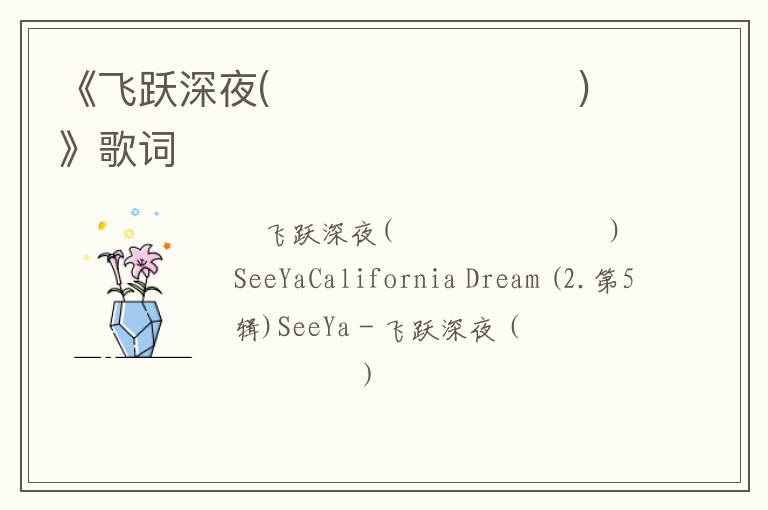 《飞跃深夜(깊은 밤을 날아서)》歌词