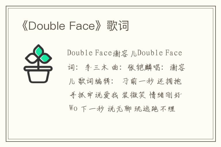 《Double Face》歌词