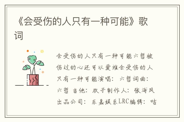 《会受伤的人只有一种可能》歌词