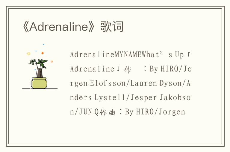 《Adrenaline》歌词