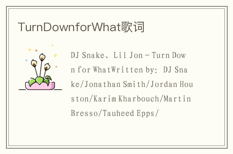 TurnDownforWhat歌词