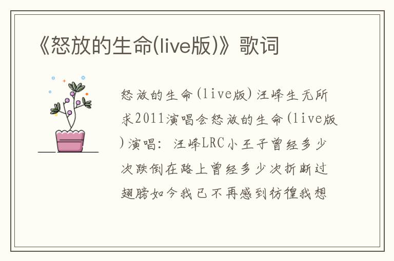 《怒放的生命(live版)》歌词