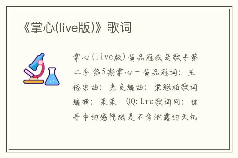 《掌心(live版)》歌词