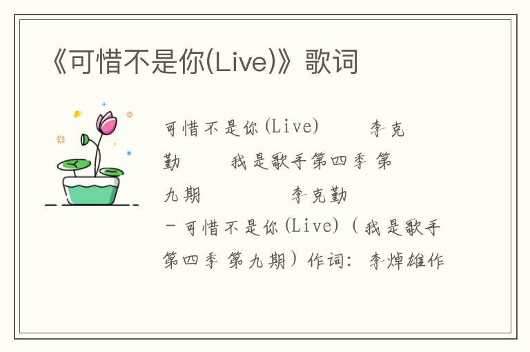 《可惜不是你(Live)》歌词