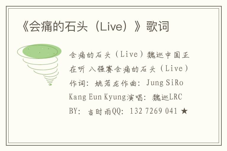 《会痛的石头（Live）》歌词