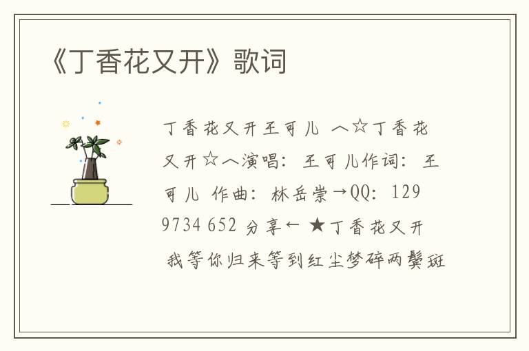 《丁香花又开》歌词