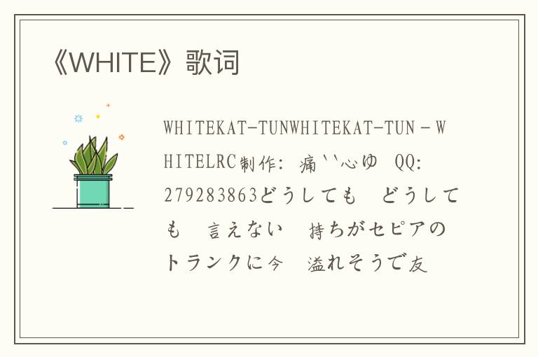 《WHITE》歌词