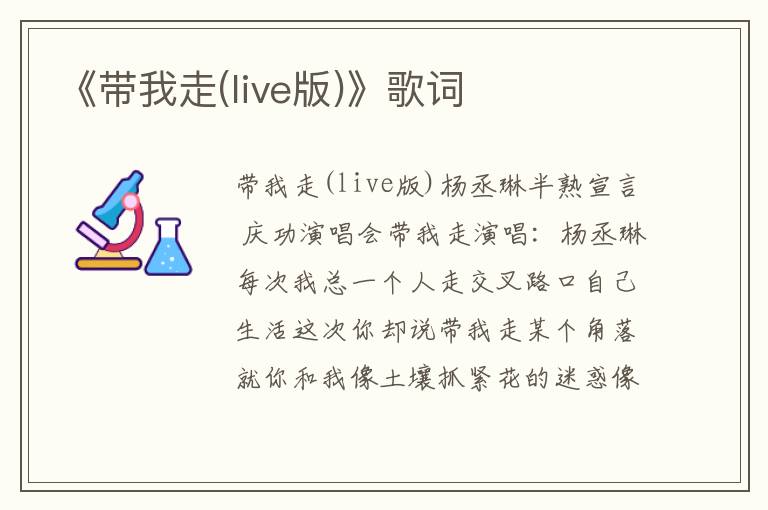 《带我走(live版)》歌词