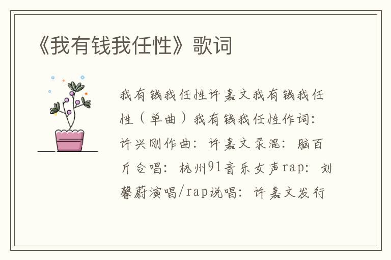 《我有钱我任性》歌词