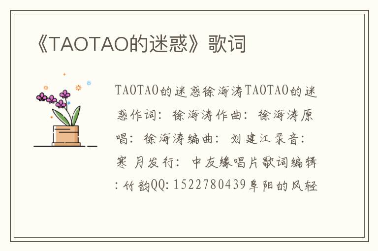 《TAOTAO的迷惑》歌词