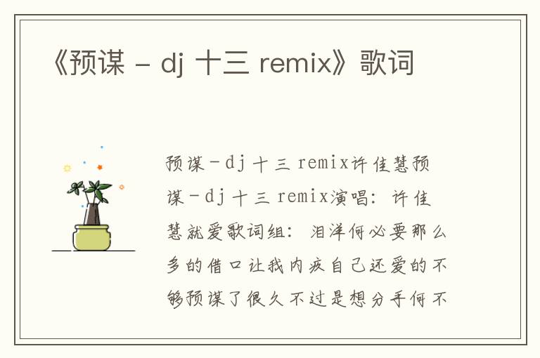 《预谋 - dj 十三 remix》歌词