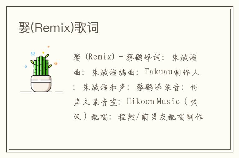 娶(Remix)歌词