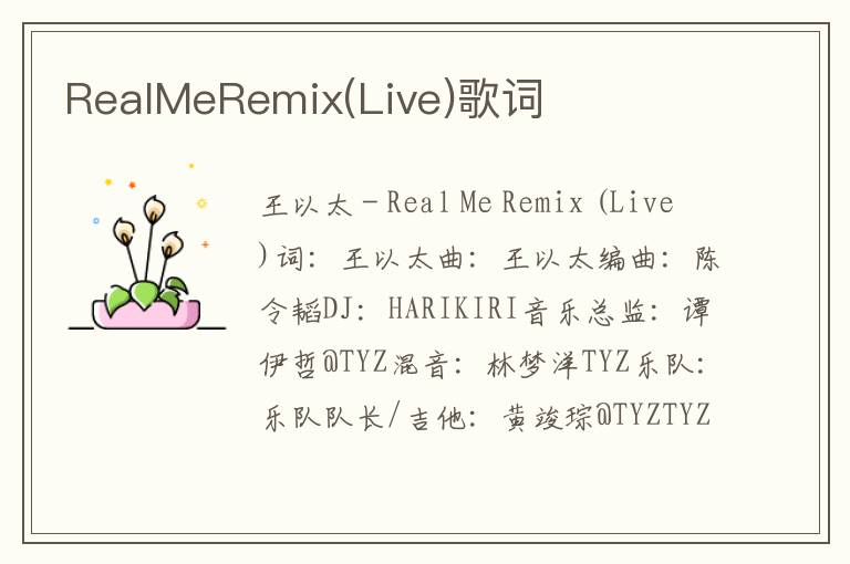 RealMeRemix(Live)歌词