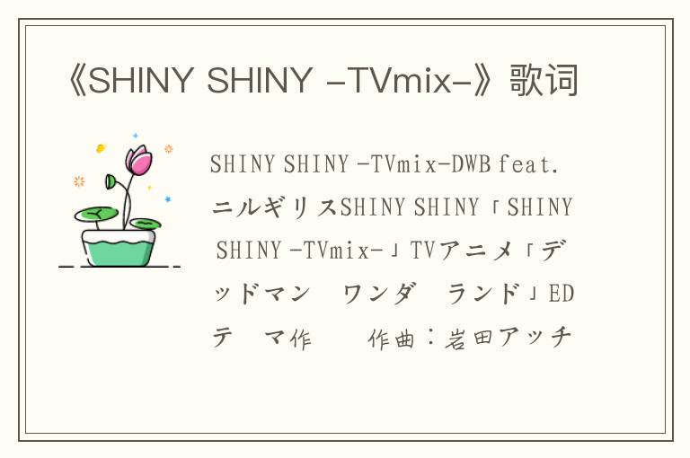 《SHINY SHINY -TVmix-》歌词