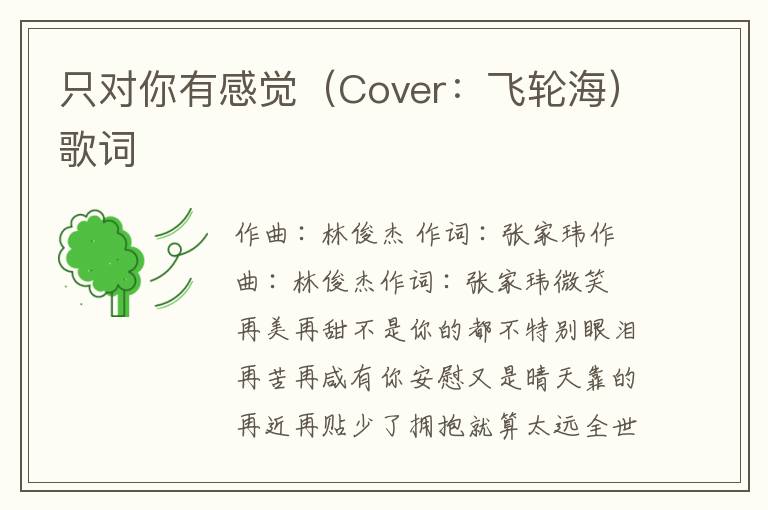 只对你有感觉（Cover：飞轮海）歌词