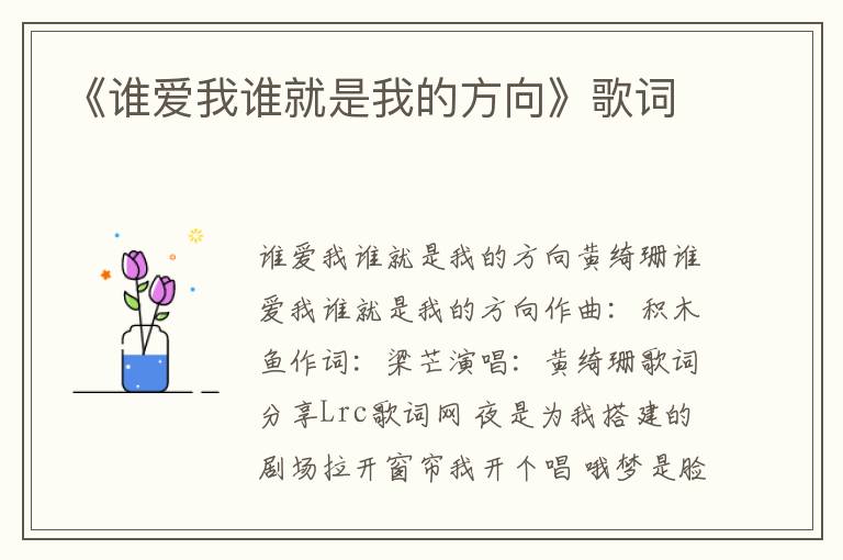 《谁爱我谁就是我的方向》歌词