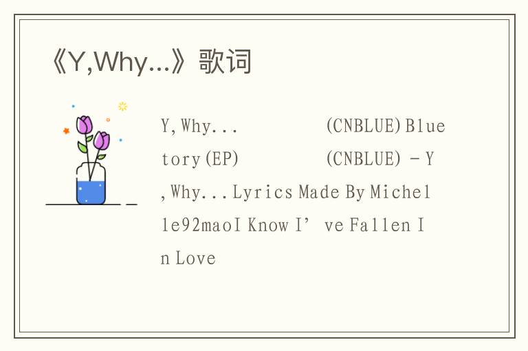 《Y,Why...》歌词