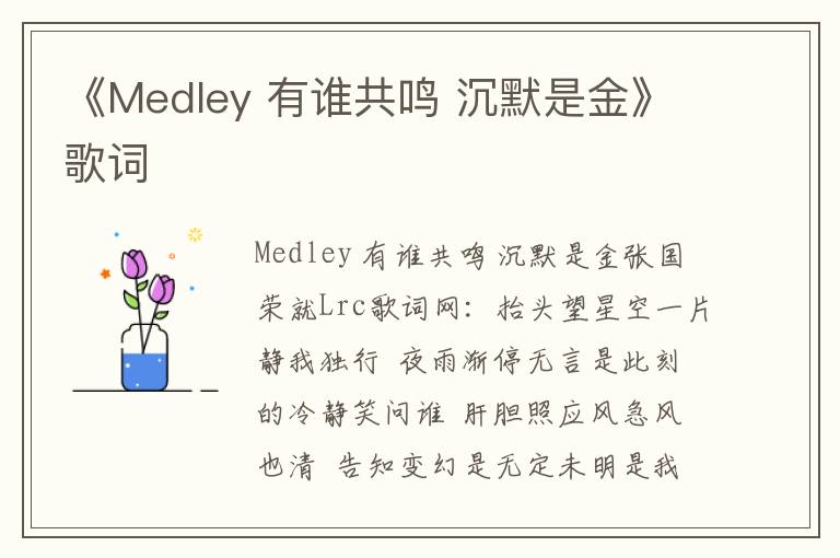 《Medley 有谁共鸣 沉默是金》歌词