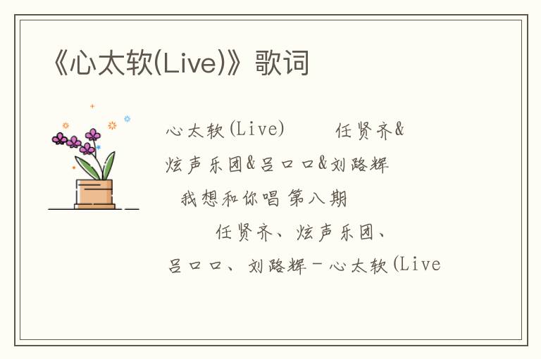 《心太软(Live)》歌词