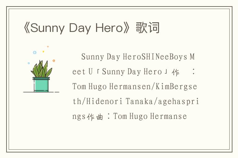 《Sunny Day Hero》歌词