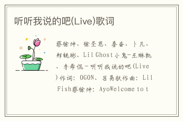 听听我说的吧(Live)歌词