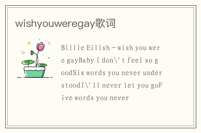 wishyouweregay歌词