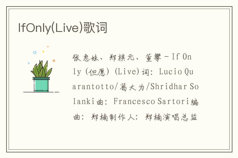 IfOnly(Live)歌词