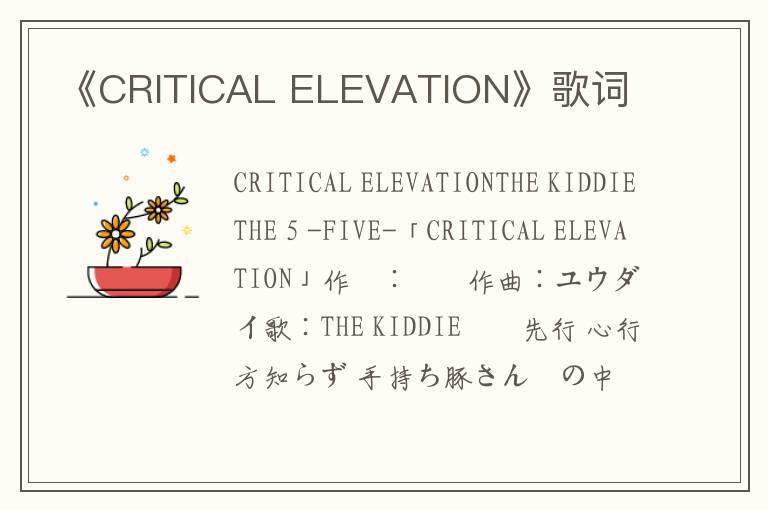 《CRITICAL ELEVATION》歌词