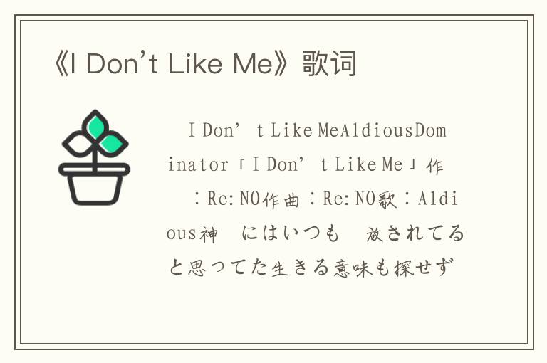 《I Don’t Like Me》歌词