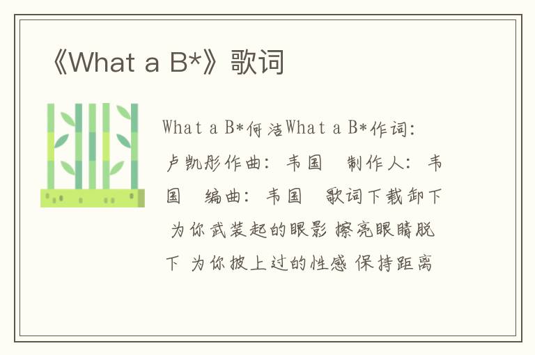 《What a B*》歌词