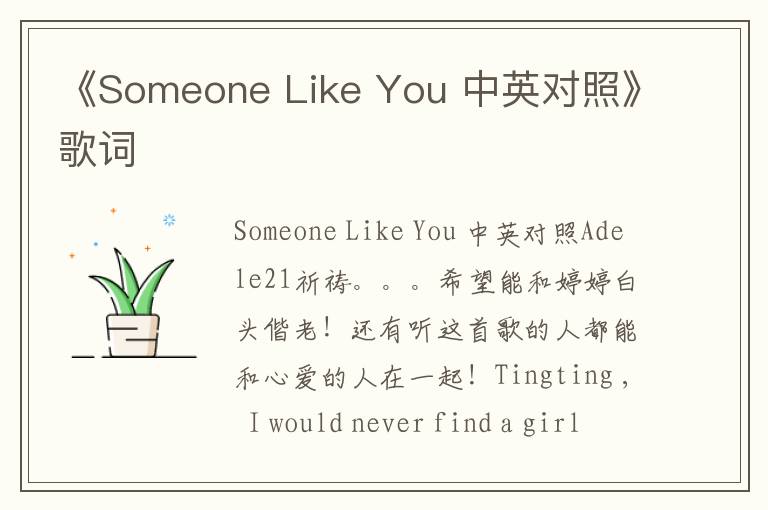 《Someone Like You 中英对照》歌词