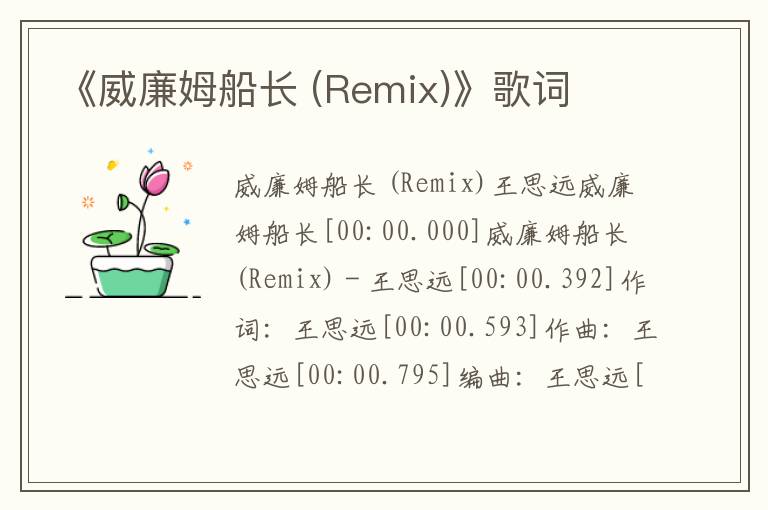 《威廉姆船长 (Remix)》歌词