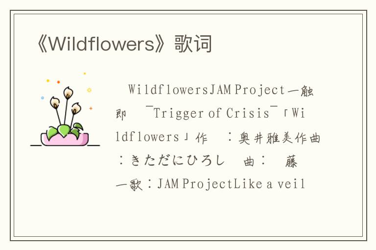 《Wildflowers》歌词